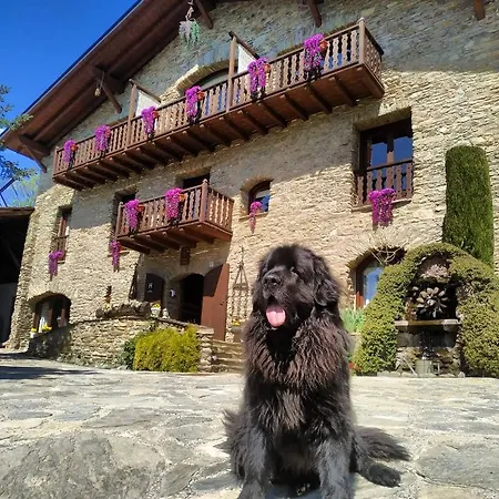Mas D'en Roqueta Hotel 3*