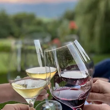 Mas D'en Roqueta 3* Aravell